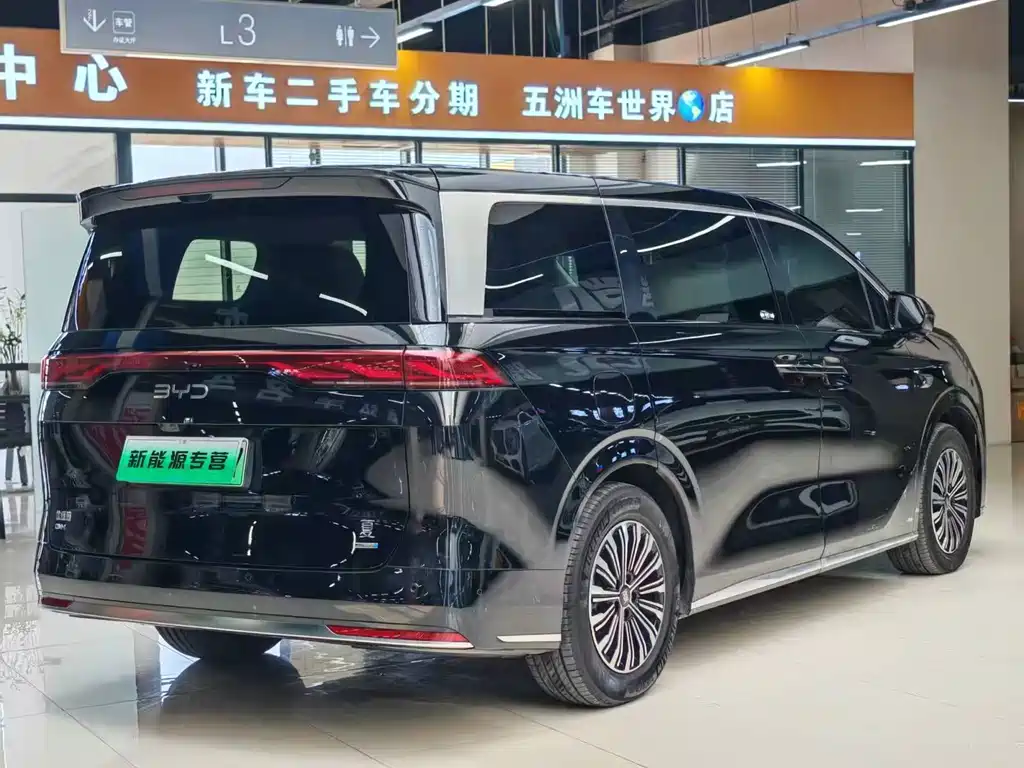 BYD Xia 2025 — фото 32