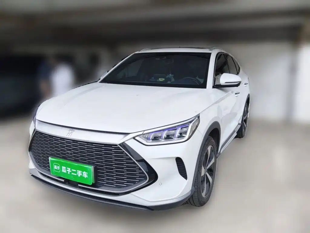 BYD PLUS New Energy 2022 — фото 2