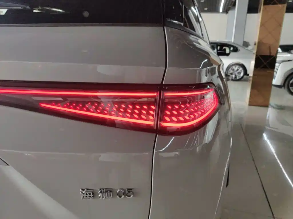 BYD Sealion 05 DM-i 2024 — фото 8