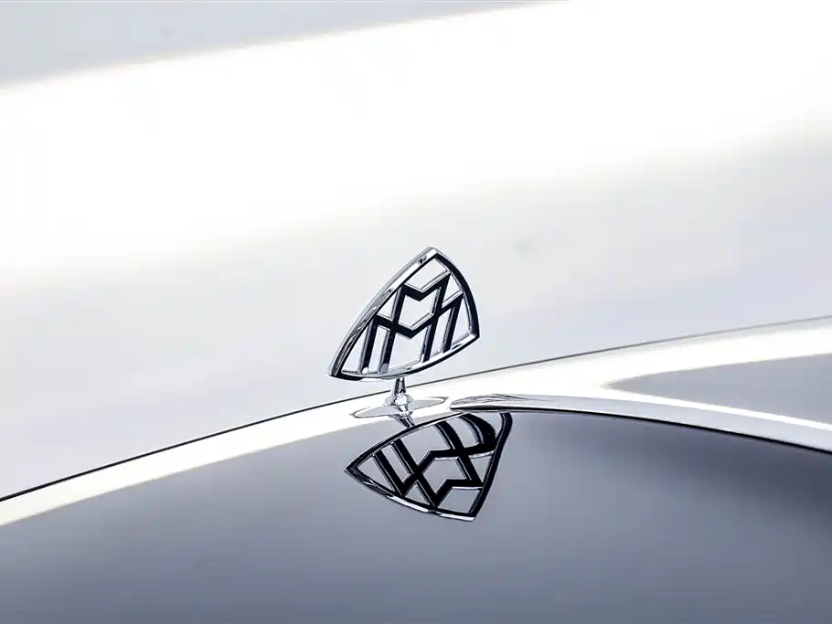 Mercedes-Benz S-Class 2022 — фото 35