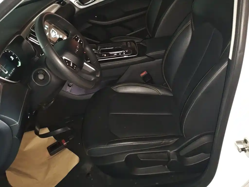 Roewe MAX 2023 — фото 15