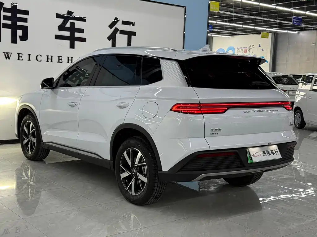 BYD Pro New Energy 2025 — фото 11