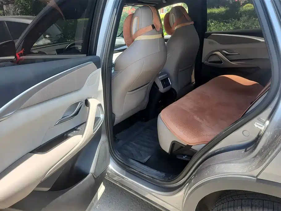 BYD Pro New Energy 2024 — фото 11