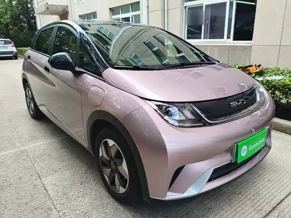 BYD Dolphin 2024