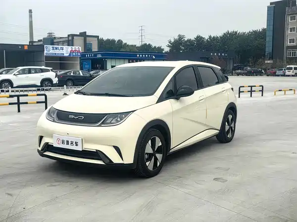 BYD Dolphin 2024