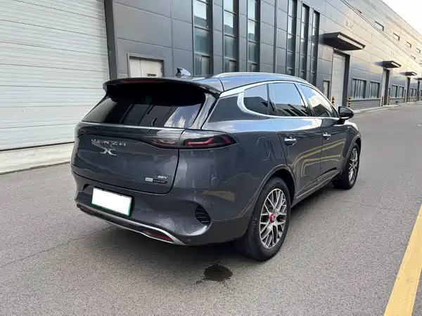 Denza X 2020
