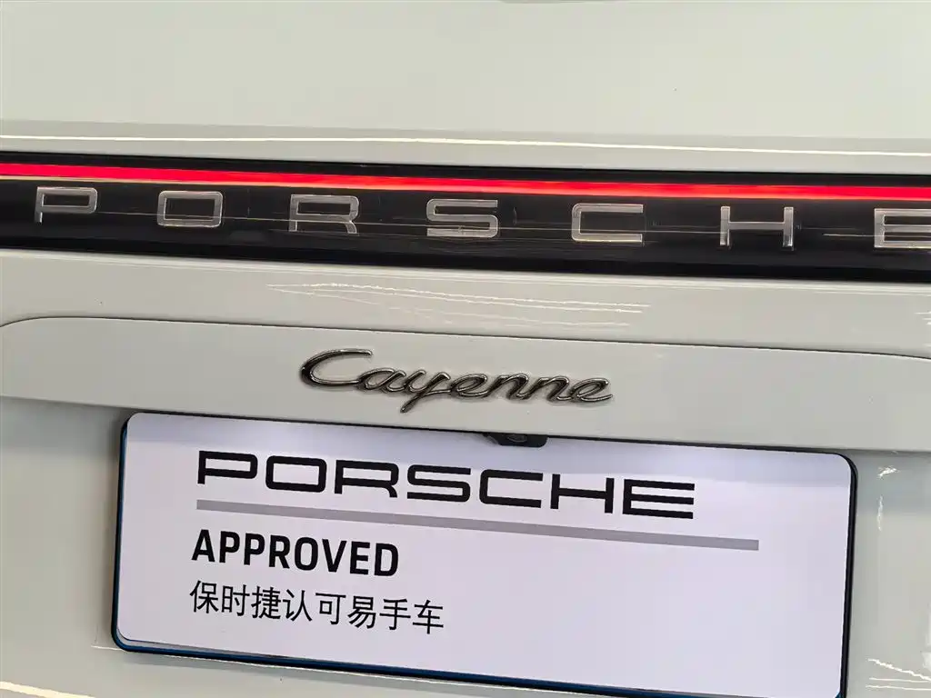 Porsche Cayenne 2020 — фото 21