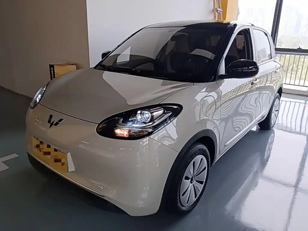 Wuling Bingo 2024