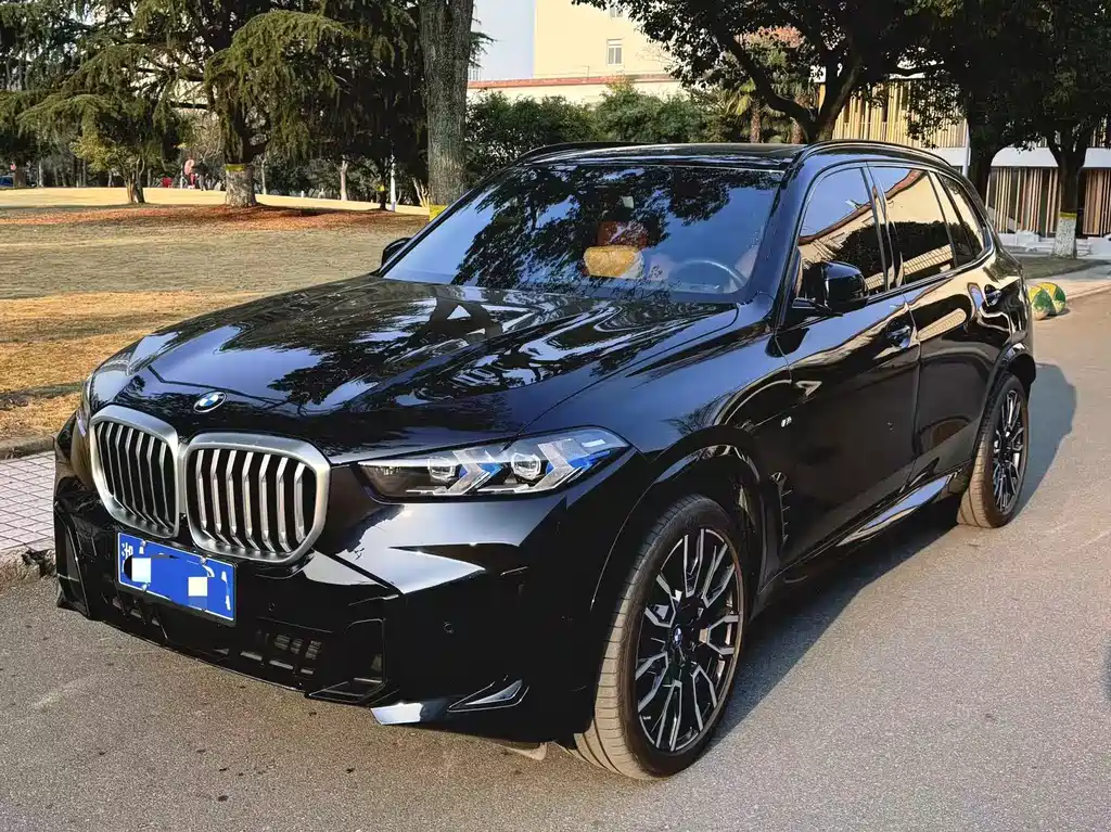 BMW X5 2024