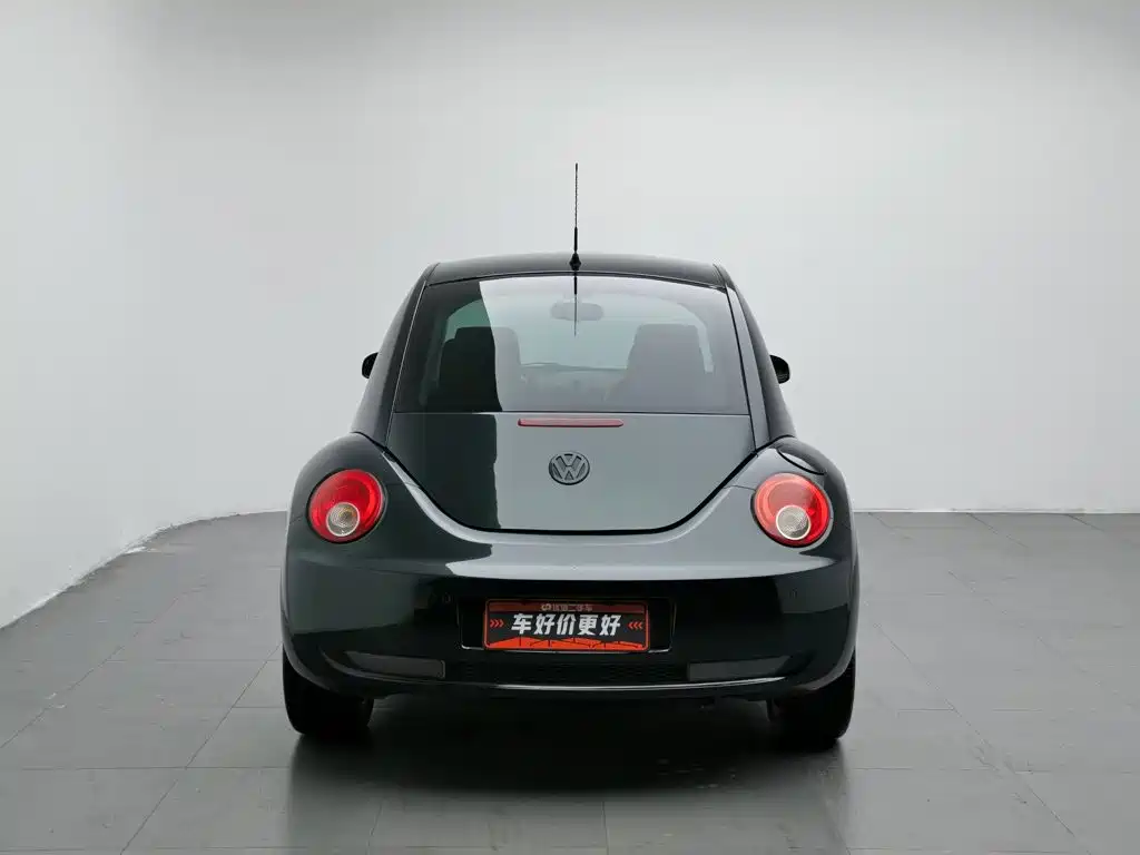 Volkswagen Beetle 2010
