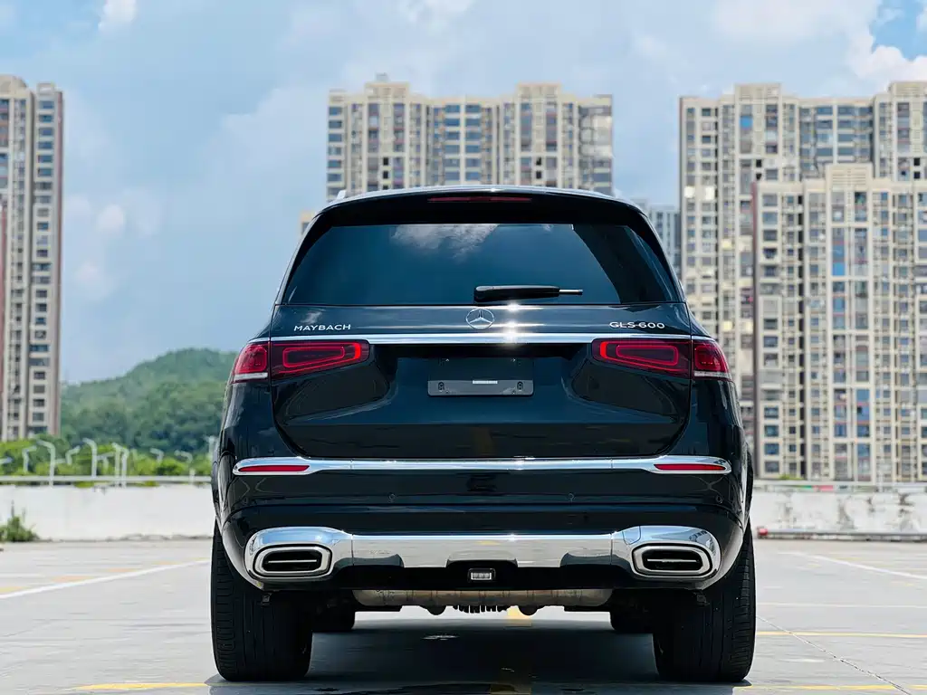 Mercedes-Benz Maybach GLS 2021 — фото 14