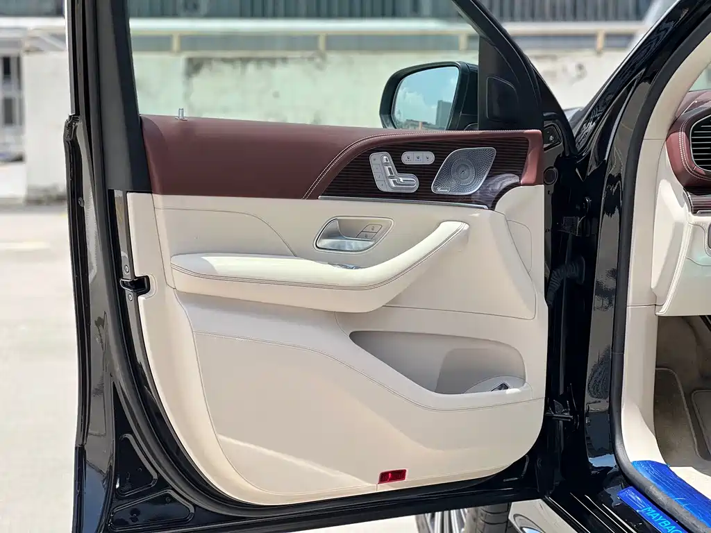 Mercedes-Benz Maybach GLS 2021 — фото 16