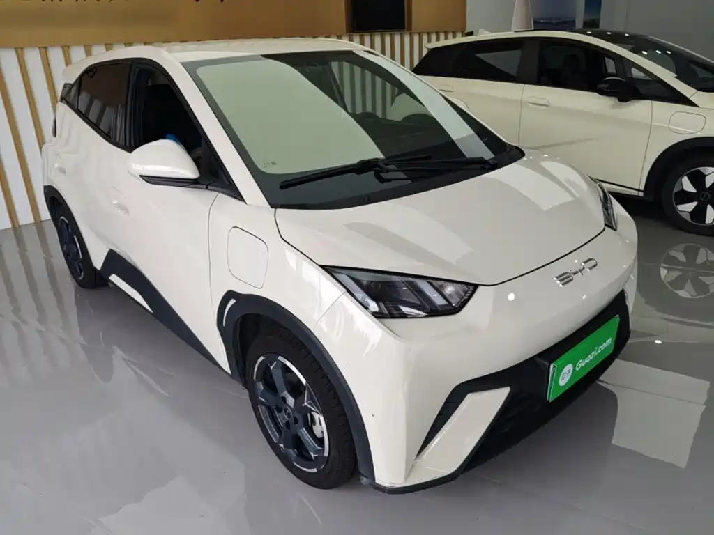 BYD Seagull 2024