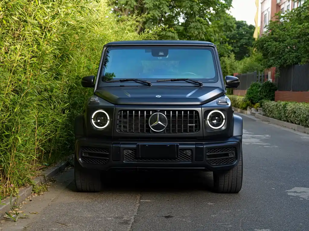 Mercedes-Benz G-Class AMG 2019 — фото 2