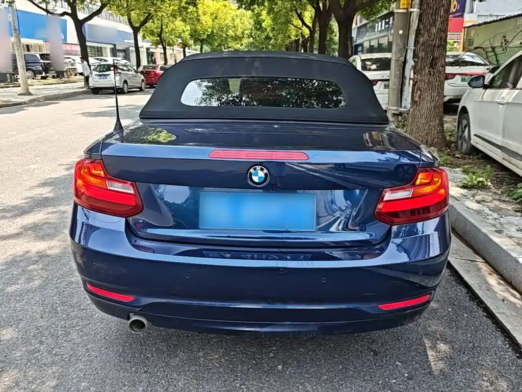 BMW 2 Series 2017