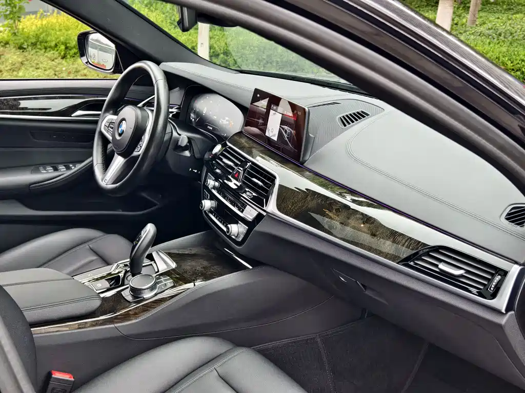 BMW 5 Series 2019 — фото 10