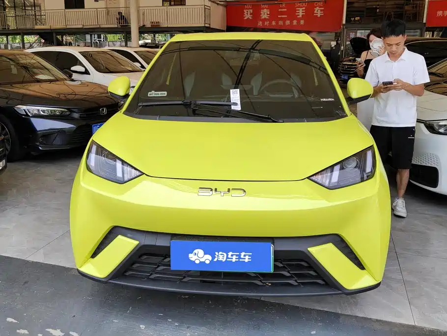 BYD Seagull 2024