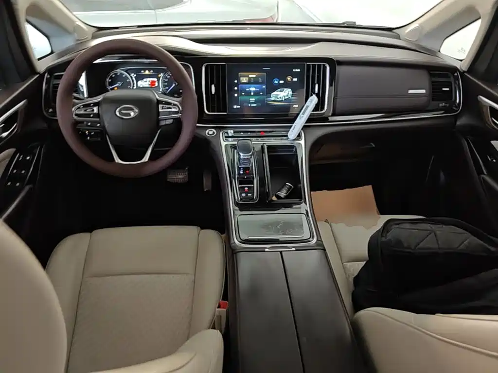 GAC Trumpchi M8 2021 — фото 10