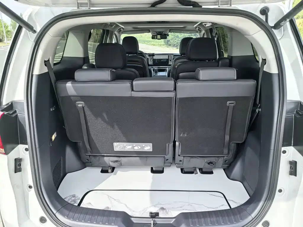GAC Motor Trumpchi M8 2023 — фото 18