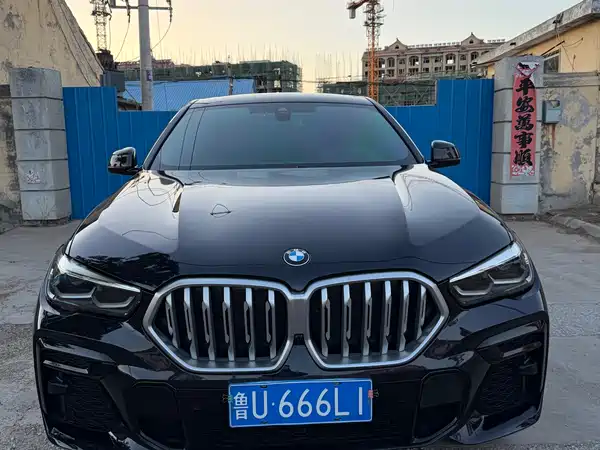 BMW X6 2022