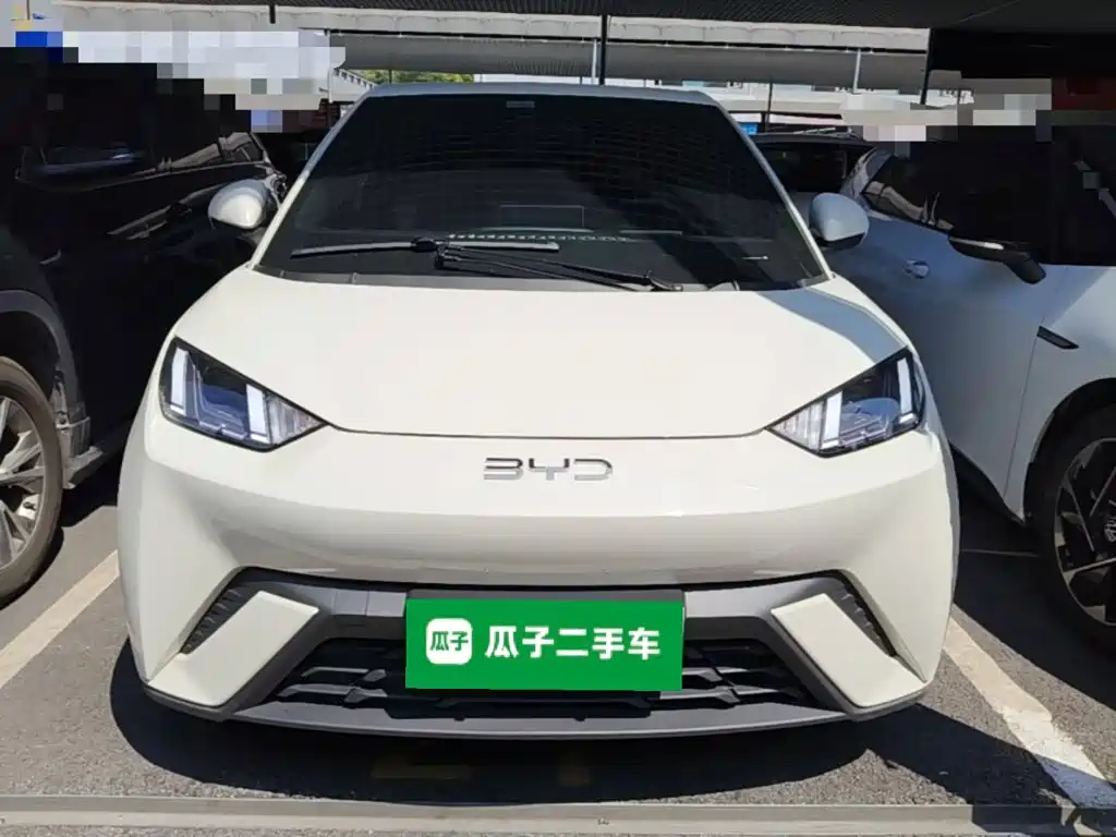 BYD Seagull 2024