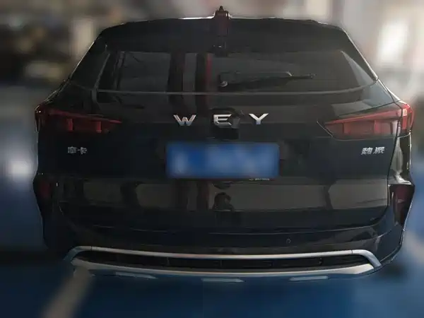 Wey Mocha 2021