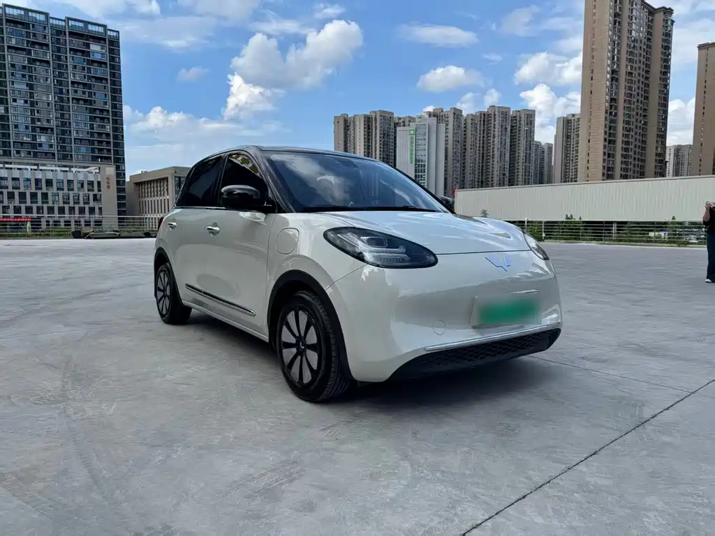 Wuling Bingo 2024