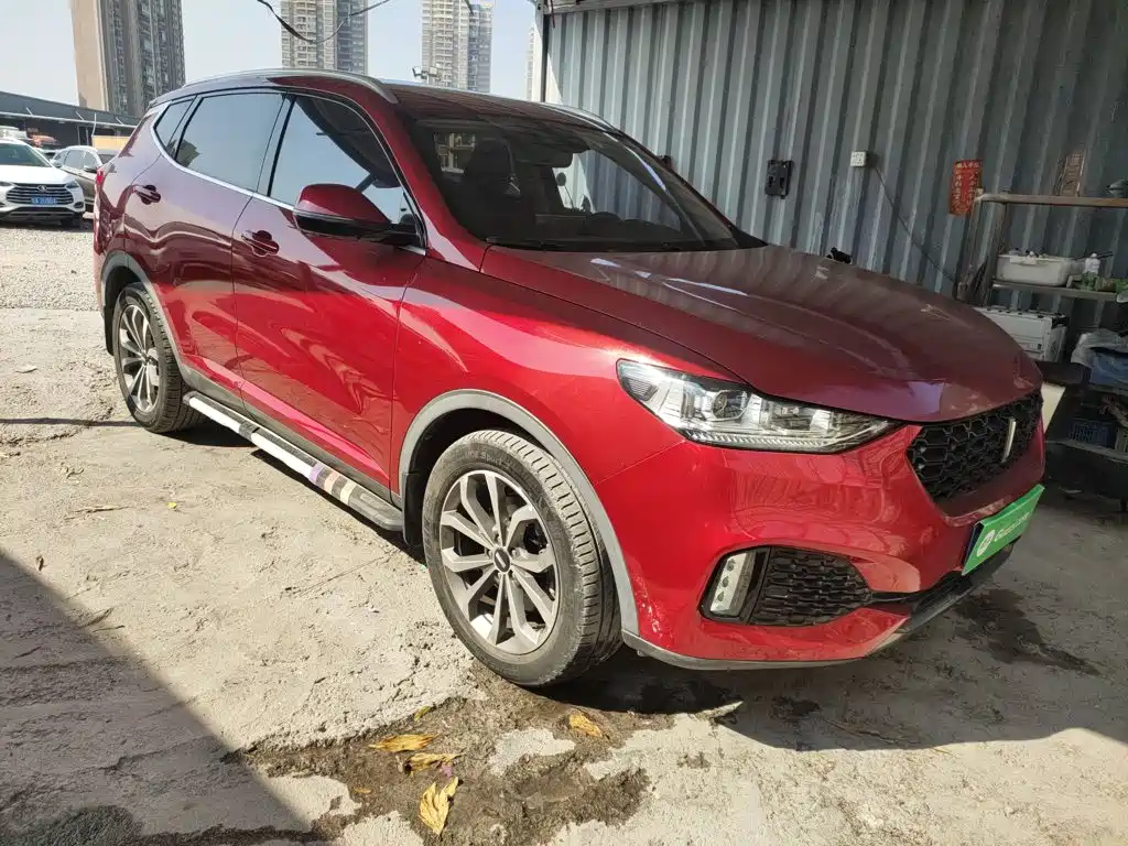 Wey VV6 2019