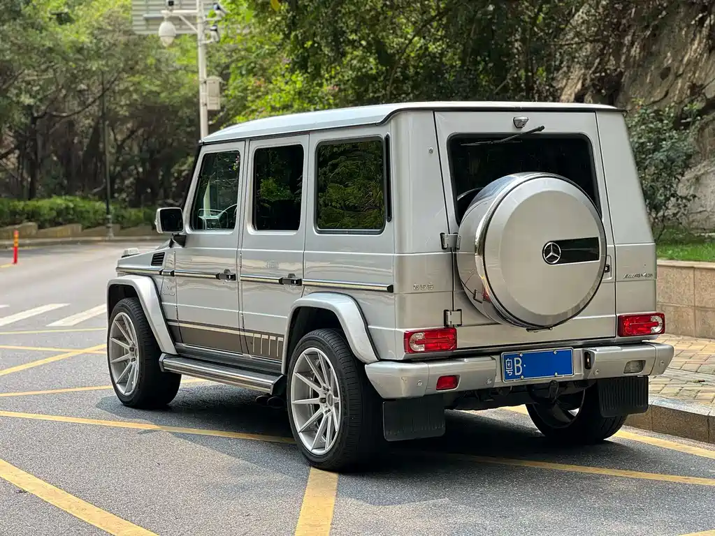 Mercedes-Benz G-Class AMG 2010 — фото 19
