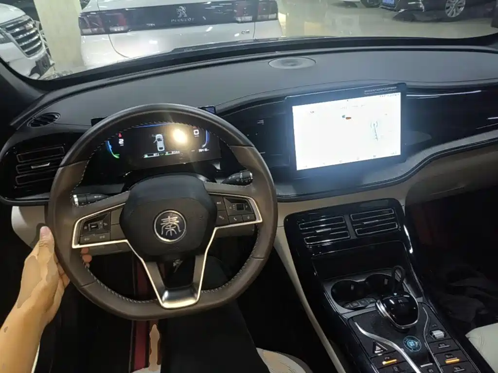 BYD Qin PLUS 2024 — фото 10
