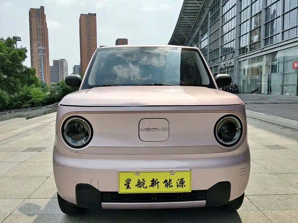 Geely Galaxy Panda 2024