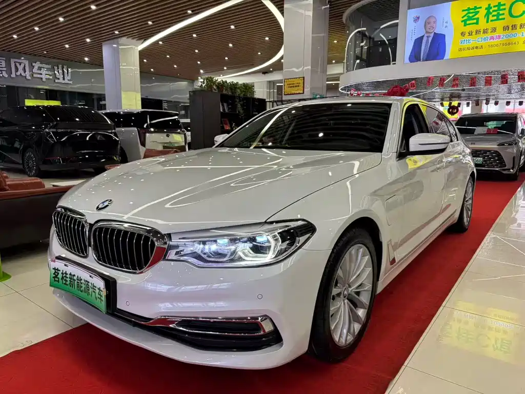 BMW 5 Series New Energy 2020