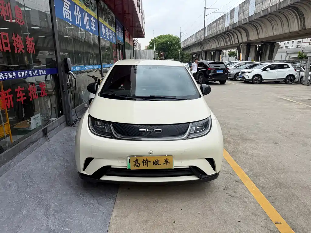 BYD Dolphin 2023