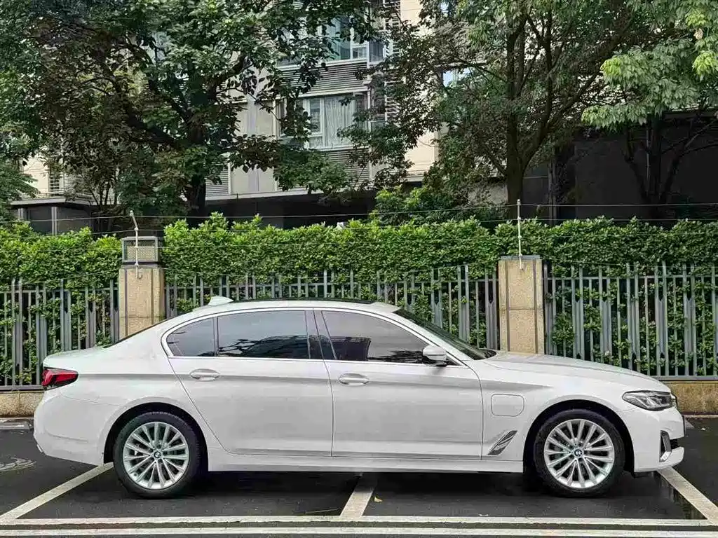 BMW 5 Series New Energy 2020