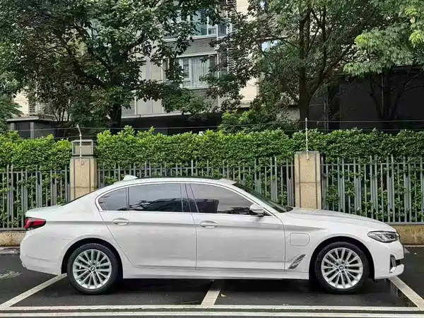 BMW 5 Series New Energy 2020