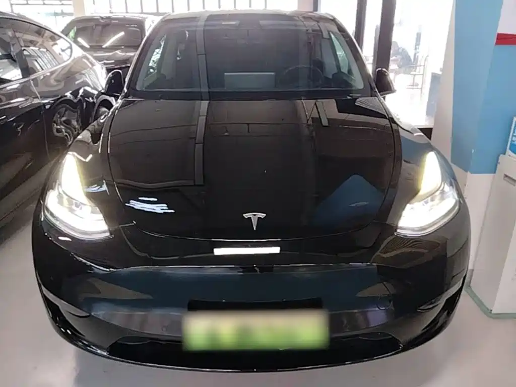 Tesla Model Y 2021 — фото 3