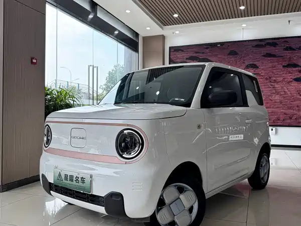 Geely Galaxy Panda 2024