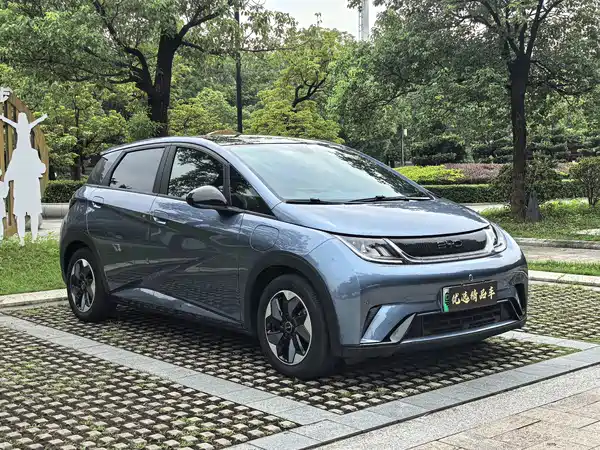 BYD Dolphin 2024