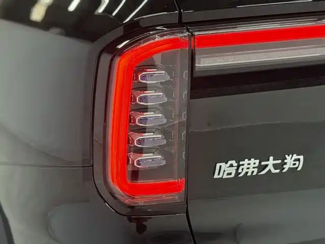 Haval Big Dog 2026 — фото 11