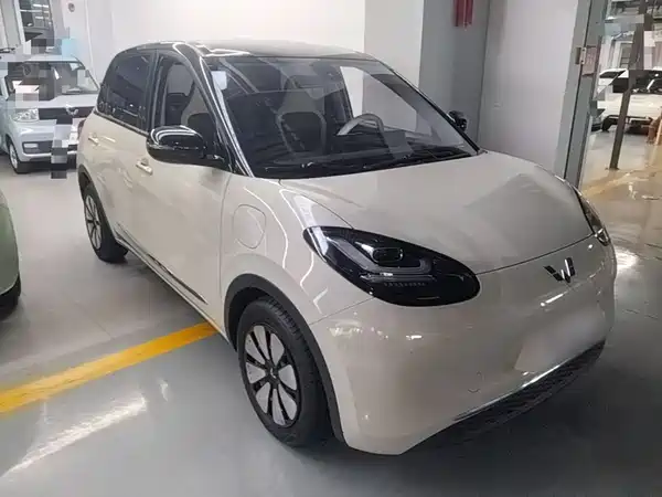 Wuling Bingo 2024