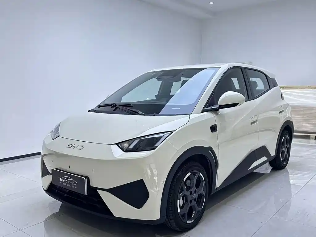 BYD Seagull 2025
