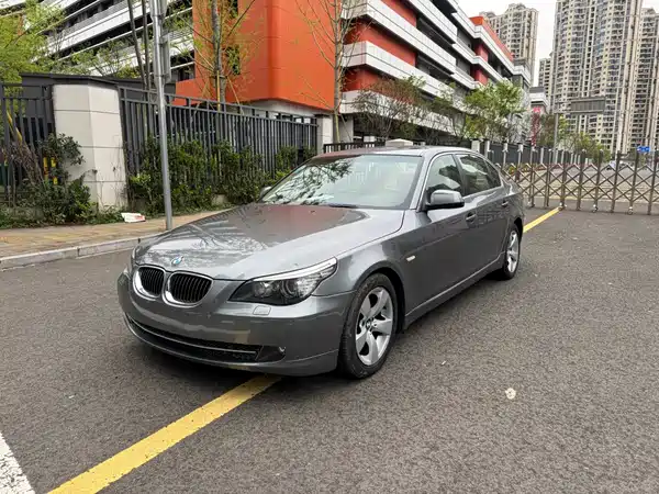 BMW 5 Series 2010