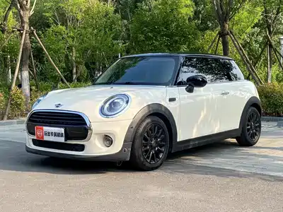 MINI MINI 2020