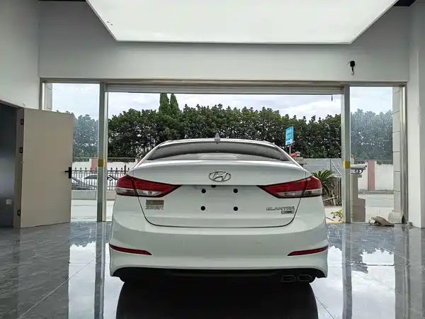 Hyundai Celesta 2019