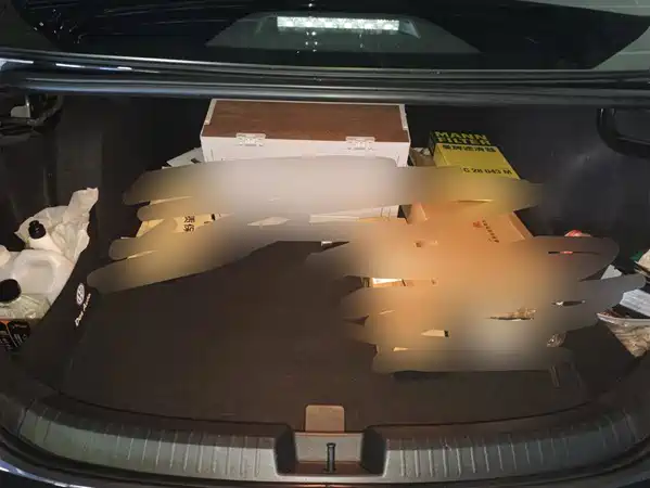 Volkswagen Sagitar 2024