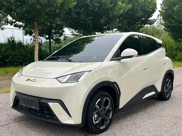 BYD Seagull 2024