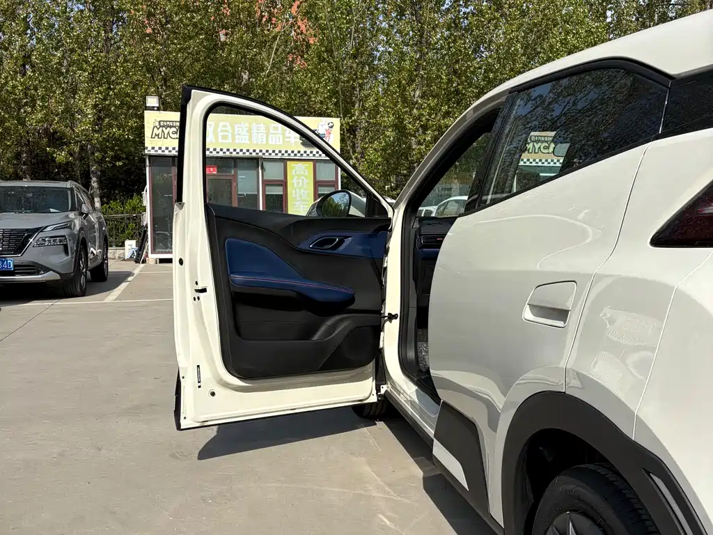 BYD Seagull 2026