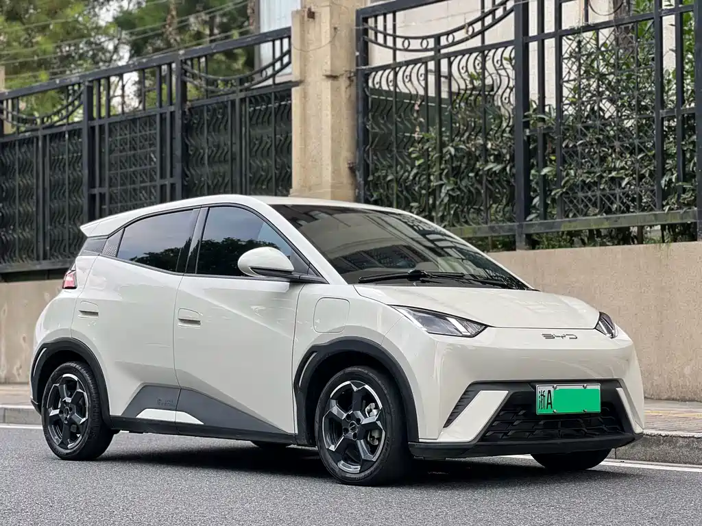 BYD Seagull 2024