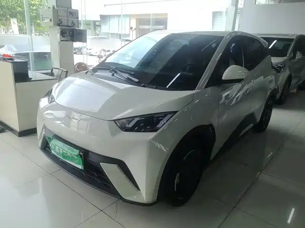 BYD Seagull 2024