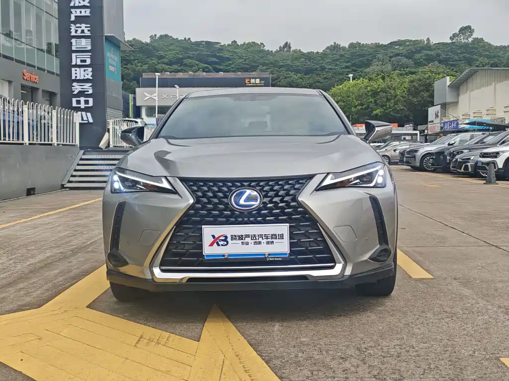 Lexus UX 2019